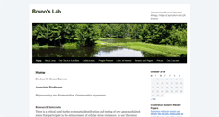 Desktop Screenshot of bruno-barcena.org