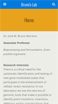 Mobile Screenshot of bruno-barcena.org